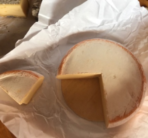 ロブローション