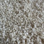 フランス・リールで麹作りワークショップ