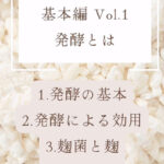 醸造英語オンライン動画レッスンがリリース