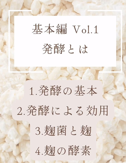 醸造英語オンライン動画レッスンがリリース